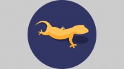 Gecko Designs