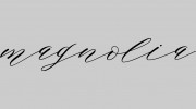 Magnolia Creative Studio