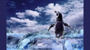 Iceberg Hosting