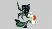 Sarah Charles Graphic Design