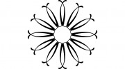 Janine Dowling Design