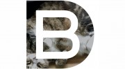 Bonfilio Design