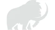 Wooly Mammoth Design