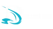 Digital Eel