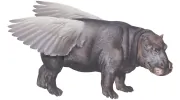 Flying Hippo