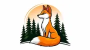 Fox Valley Web Design