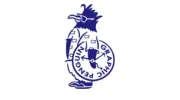 Graphic Penguin